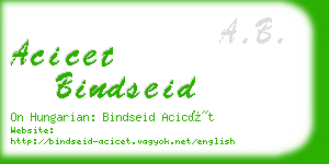 acicet bindseid business card